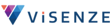 ViSenze was acquired by Rezolve AI  
